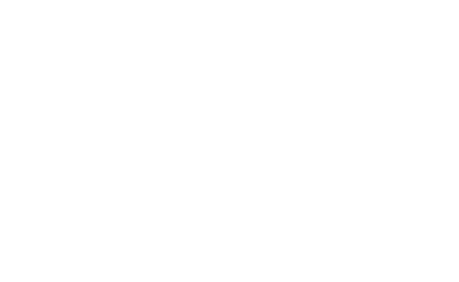 Web Application Security Attack